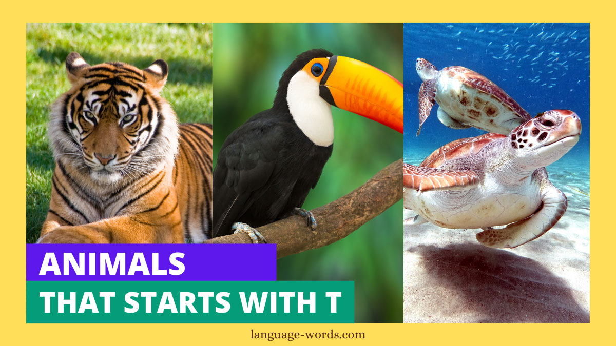 From Tigers to Turtles: 345+ Amazing Animals That Begin With T