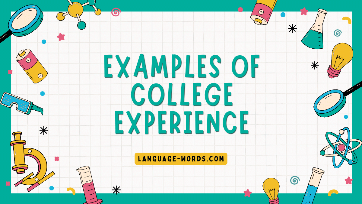 Examples of College Experience