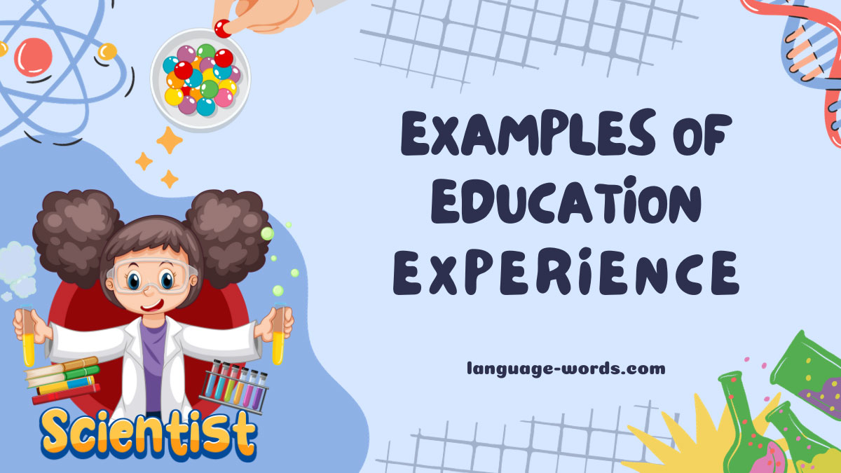 Examples of Education Experience