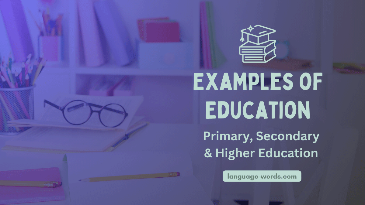Examples of Education