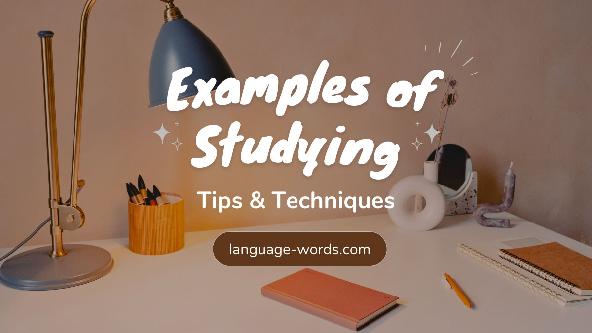 Examples of Studying