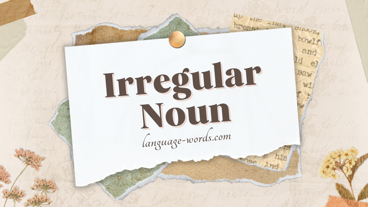 Irregular Noun