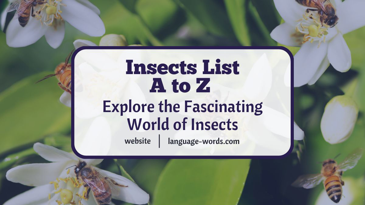 A-Z Insects List